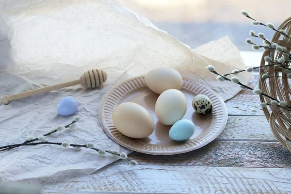 Easter Eggs Decor Pussy Willow Fur Sprigs Wooden Windowsill — Stockfoto