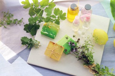 Sabun, antiseptik sıvı, bitkiler, hijyen prosedürleri için aromatik yağ, doğal kozmetik ürünler, sağlıklı yaşam tarzı, ev rahatlığı