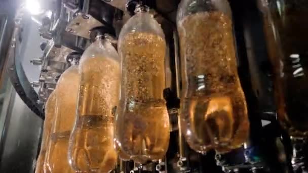 Linia produkcyjna fabryki do butelkowania cieczy, napojów, napojów, alkoholu. — Wideo stockowe