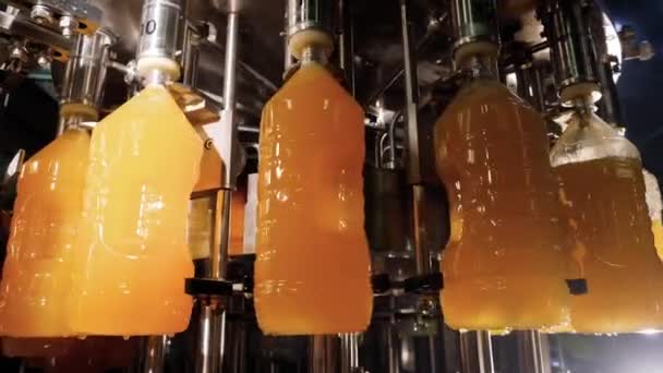 Produção automatizada e bebidas de engarrafamento na linha de transporte da fábrica industrial — Vídeo de Stock