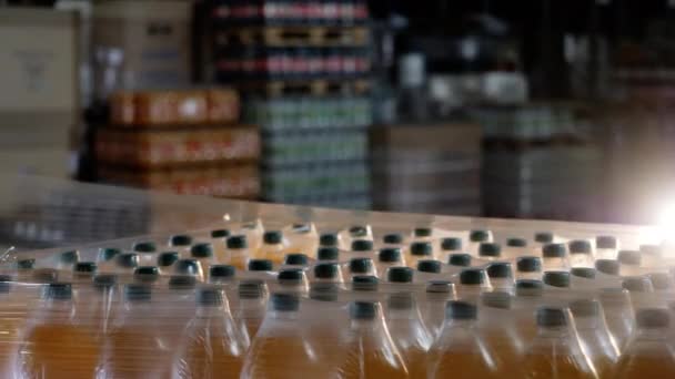Lote de embalagem automatizado de garrafas em fábrica de bebidas com fecho de plástico — Vídeo de Stock