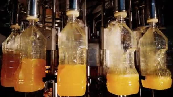 工业厂房输送机生产线上的自动化生产及装瓶饮料 — 图库视频影像