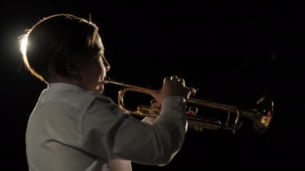 Kulturaufführung der Live-Instrumentenmusik Melodie eines jungen Musikers auf dem Theater — Stockvideo