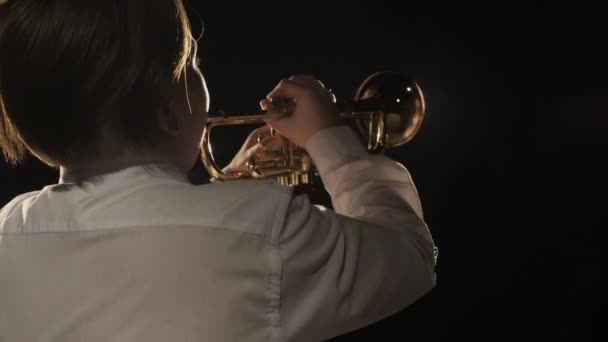 Instrumentenuitvoering van klassieke livemuziek melodie door kunstmensen op theaterpodium — Stockvideo