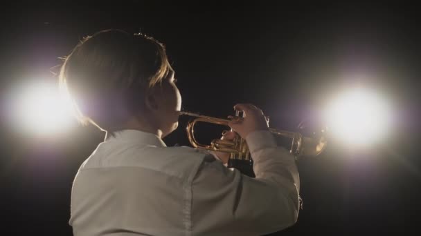 Música executar de melodia instrumento clássico ao vivo por pessoa de arte no teatro — Vídeo de Stock