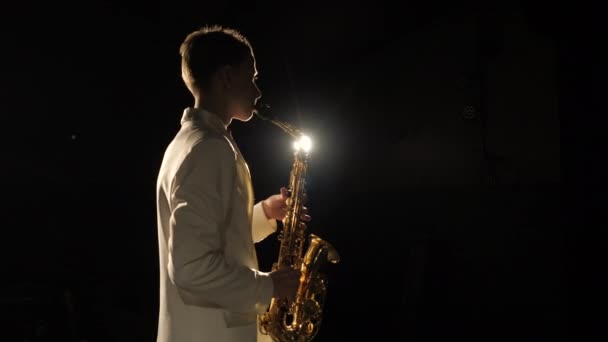 Sahne ışıklarındaki sanatçıların klasik sanat enstrümanında canlı müzik performansı — Stok video