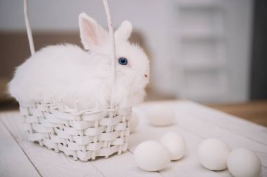 cute white easter rabbit sitting in basket with eggs on table clipart