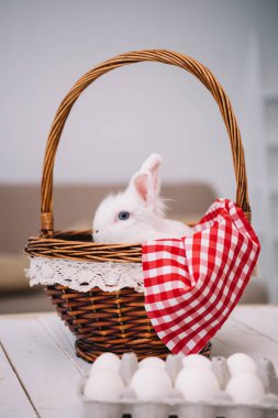 sepet içinde oturan sevimli beyaz Paskalya tavşanı