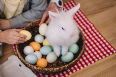 Paskalya tavşan sepet yumurta ile oturuyor