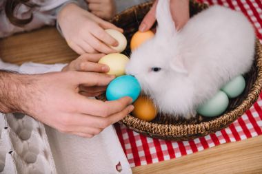cropped shot of people giving colored eggs to easter rabbit clipart