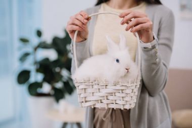 sepet içinde beyaz tavşan kadınla kadeh kırpılmış