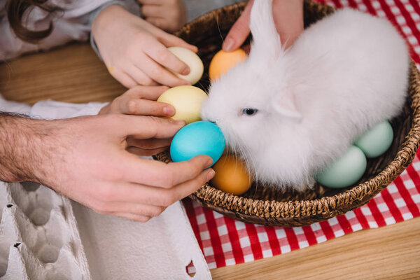 обрезанный снимок людей, дающих цветные яйца пасхальному кролику
