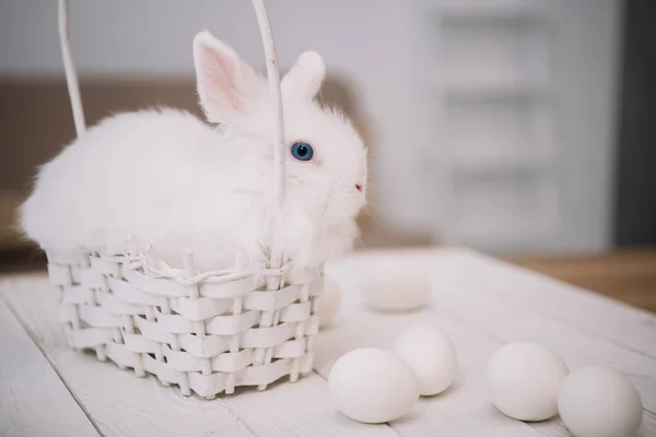 Niedliche weiße Osterhasen sitzen im Korb mit Eiern auf dem Tisch — Stockfoto