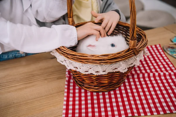 Schnappschuss von Kindern, die mit Kaninchen im Korb spielen — Stockfoto