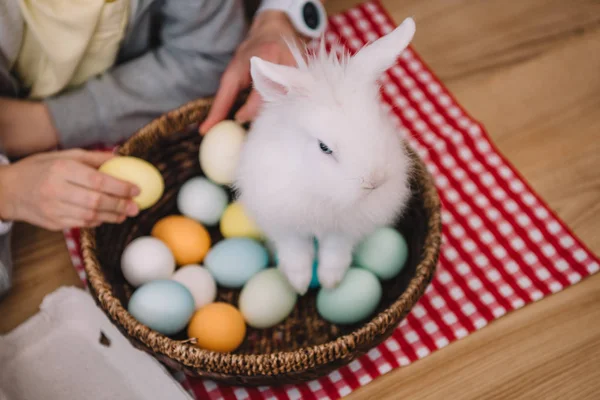 Conejo de Pascua sentado en la cesta con huevos - foto de stock