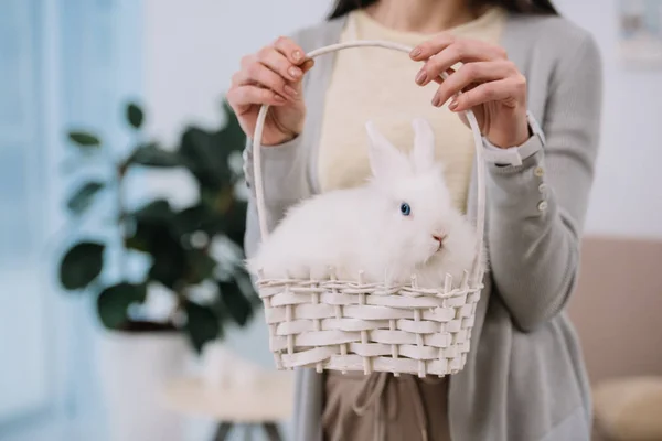 Schnappschuss einer Frau mit weißem Kaninchen im Korb — Stockfoto