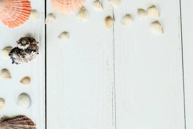 Vintage Fotoğraf Çerçevesi ile deniz kabukları ahşap masa üst arka plan üzerinde