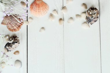 Vintage Fotoğraf Çerçevesi ile deniz kabukları ahşap masa üst arka plan üzerinde