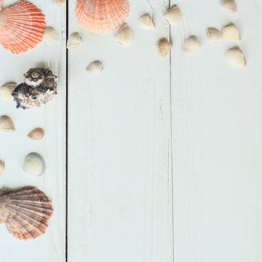 Vintage Fotoğraf Çerçevesi ile deniz kabukları ahşap masa üst arka plan üzerinde