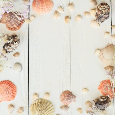 Doğal kabukları ahşap kurullarında. Seaside arka plan kavramı. metin için yer