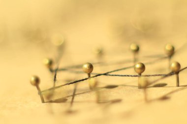 Lideri ile bir sosyal ağ kavramı