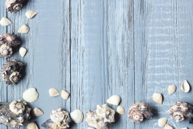 kabukları ahşap arka plan üzerinde metin çerçevesi