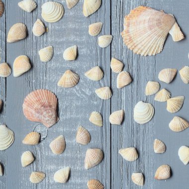 hafif ahşap arka plan üzerinde küçük deniz kabuklarını bir sürü