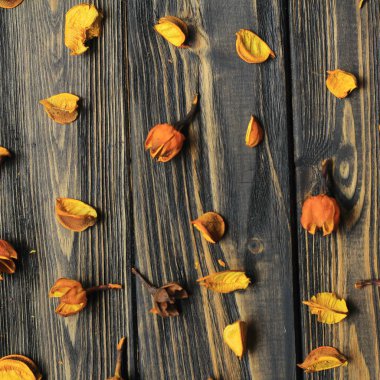 ahşap arka plan üzerinde kurutulmuş çiçek yaprakları