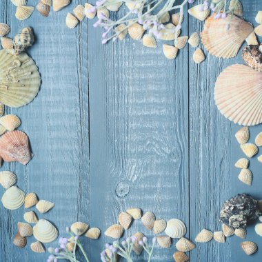 metin için güzel deniz kabuklarını .copy yer ile mavi ahşap arka plan