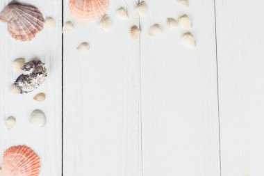 Vintage Fotoğraf Çerçevesi ile deniz kabukları ahşap masa üst arka plan üzerinde