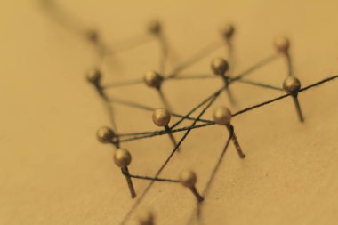 Lideri ile bir sosyal ağ kavramı