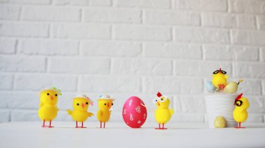 Mutlu Paskalyalar. Tavuklar Paskalya hazırlıkları için usta bir sınıf yönetiyor..