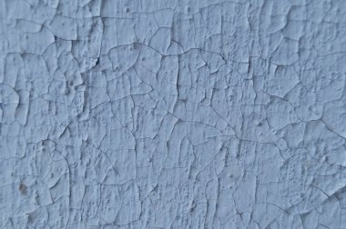 Çatlak bir sıva yüzünden. Kıyamet sonrası kasvetli bir geçmişi var. Eski ve nadir duvar kağıtları. Yenileme için modası geçmiş mimari.