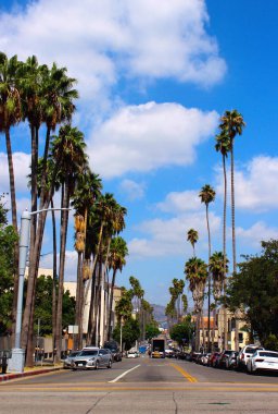 Los Angeles, Kaliforniya, Usa. 20 Eylül 2019. Los Angeles 'taki Koreatown Merkezi. Hollywood 'a giden uzun palmiye ağaçları.