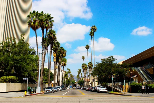 Los Angeles, Kaliforniya, Usa. 20 Eylül 2019. Los Angeles 'taki Koreatown Merkezi. Hollywood 'a giden uzun palmiye ağaçları.