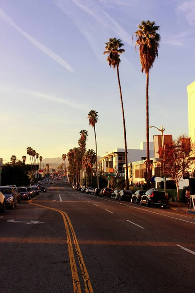 Los Angeles, CA, USA. October 10, 2016. Blue undercity and palm trees at Sunset Blvd towards inscription on Mount Hollywood.