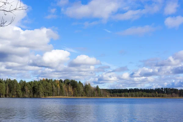 Лесное озеро осенью — стоковое фото
