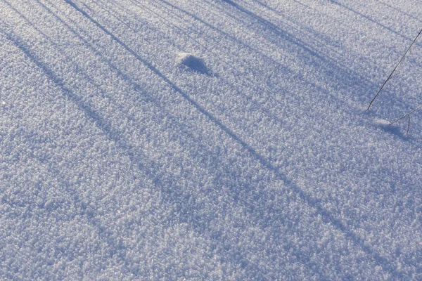 Зимний снежный дрейф — стоковое фото