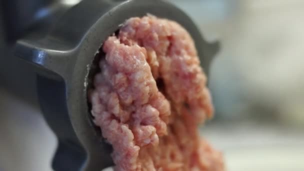 Carne di maiale macinata fuori dal tritacarne — Video Stock