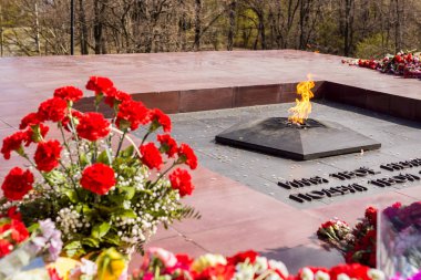 Eternal Flame 9 Mayıs zafer günü çiçekleri