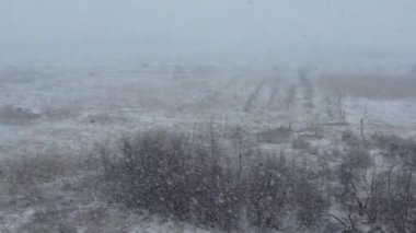 Bahar sert kar yağışı