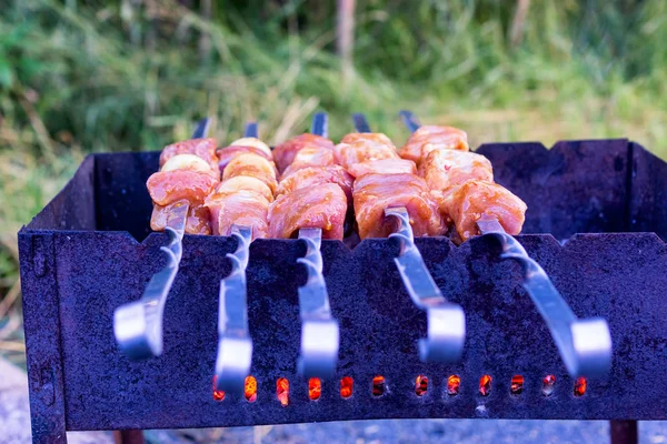 Viande de porc rôtie sur brochettes sur pique-nique — Photo