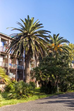 Tropik tatil beldesinde eski sanatoryumun inşası