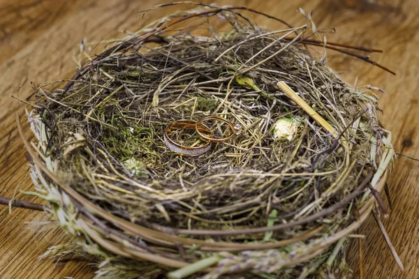Gold Wedding Rings Real Bird Nest — Stock Photo, Image