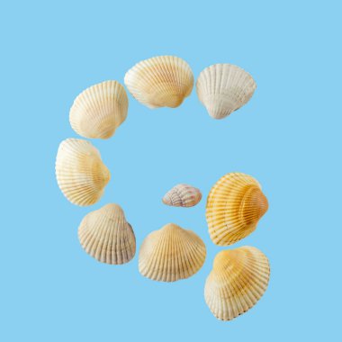 Deniz kabuklarından oluşan 