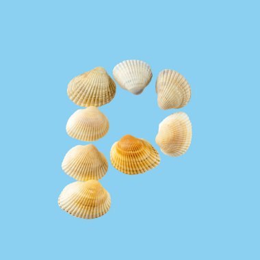 Deniz kabuklarından oluşan 