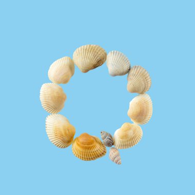 Deniz kabuklarından oluşan 