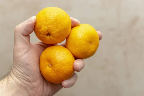 Ripe natural juicy tangerines in hand