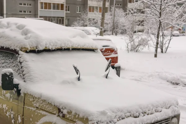 Cars Winter Morning City Yard Snowfall — Stock Photo, Image