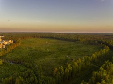 Şehrin kenar mahallelerinde yeni bütçe konutları için temizlenmiş ahşap parselin havadan görünüşü